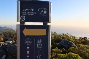 Кейптаун: групповой тур Столовая гора, пингвины и Кейп-Пойнт