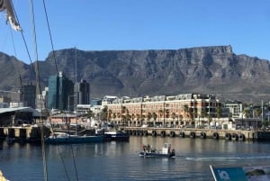 Cape Town: Taffelberget, pingviner, Cape Point Privat tur