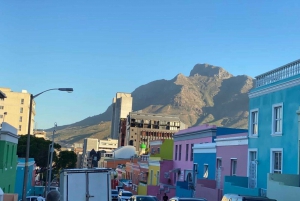 Città del Capo: Table Mountain, pinguini, Cape Point Tour privato