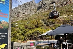 Cidade do Cabo: excursão compartilhada pela Table Mountain, pinguins e Cape Point