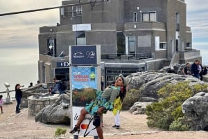 Kapstaden: Taffelberget, pingvinerna och Kapspetsen - delad rundtur