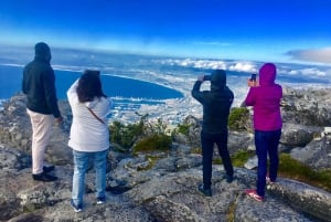 Kapkaupunki: Pöytävuori, pingviinit ja Cape Point jaettu retki