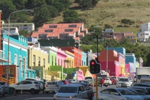 Cape Town: Taffelberget, pingviner og Cape Point - delt tur