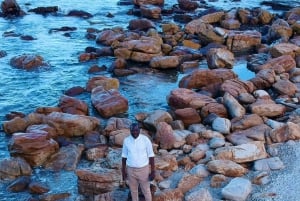 Кейптаун: общий тур Столовая гора, пингвины и Кейп-Пойнт