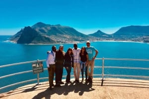 Cape Town: Fælles tur med Taffelbjerget, pingviner og Cape Point