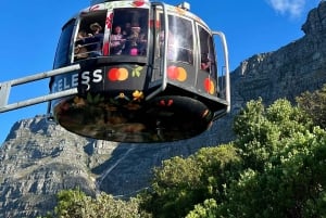 Cape Town: Table Mountain, Penguins, and Cape Point Tour