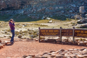 Cape Town: Table Mountain, Penguins, and Cape Point Tour
