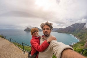 Cape Town: Table Mountain, Penguins, and Cape Point Tour