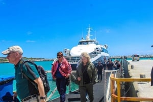 Kapsztad: bilety na Górę Stołową i wyspę Robben