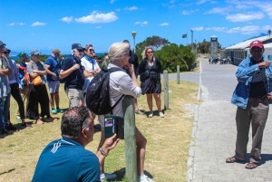 Kapsztad: bilety na Górę Stołową i wyspę Robben