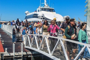 Cape Town: Table Mountain plus Robben Island tickets