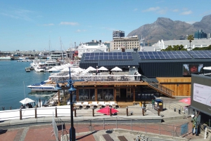 Cape Town: Table Mountain, Robben Island, and Aquarium Tour