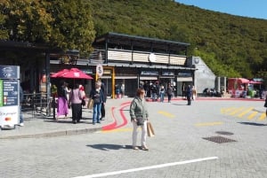Ciudad del Cabo: Visita a la Montaña de la Mesa, la Isla Robben y el Acuario
