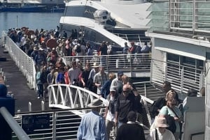 Cidade do Cabo: Montanha da Mesa, Ilha Robben e passeio pela cidade