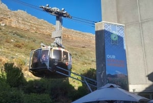 Cidade do Cabo: Montanha da Mesa, Ilha Robben e passeio pela cidade