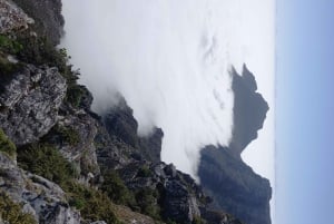 Cape Town: Table Mountain Summit Walk for the Whole Family