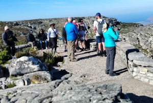 Le Cap : billet coupe-file pour la montagne de la Table