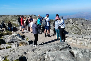 Le Cap : billet coupe-file pour la montagne de la Table