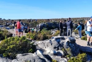 Le Cap : billet coupe-file pour la montagne de la Table