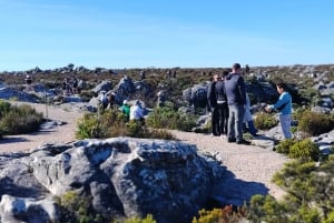 Le Cap : billet coupe-file pour la montagne de la Table