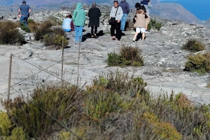 Le Cap : billet coupe-file pour la montagne de la Table