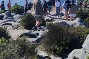 Le Cap : billet coupe-file pour la montagne de la Table