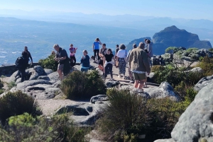 Le Cap : billet coupe-file pour la montagne de la Table