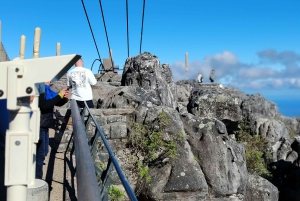 Le Cap : billet coupe-file pour la montagne de la Table