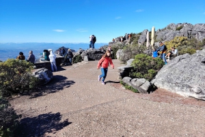 Le Cap : billet coupe-file pour la montagne de la Table