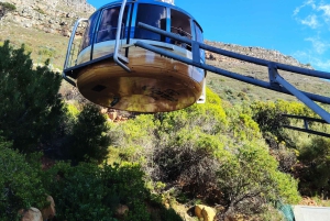 Le Cap : billet coupe-file pour la montagne de la Table