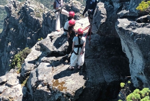 Le Cap : billet coupe-file pour la montagne de la Table
