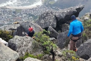 Le Cap : billet coupe-file pour la montagne de la Table