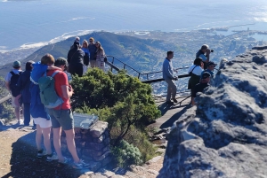 Le Cap : billet coupe-file pour la montagne de la Table