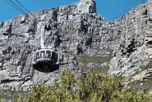 Cidade do Cabo: Ingresso sem fila para a Table Mountain
