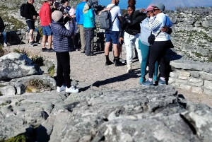 Cidade do Cabo: Ingresso sem fila para a Table Mountain