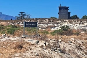 Cape Town: Bordbjerget og Robben Island dagstur