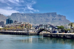 Cidade do Cabo: Excursão de um dia ao Table Mountatin e à Ilha Robben