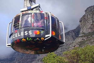 Kapkaupunki: Table MT, Cape Point ja pingviinit Instagramissa jaettu