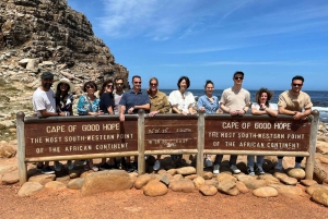 Kapkaupunki: Table MT, Cape Point ja pingviinit Instagramissa jaettu