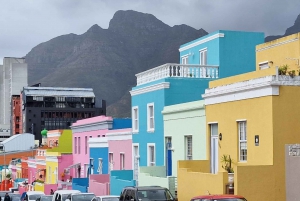 Kapstaden: Table MT, Cape point & Penguins Instagram delad