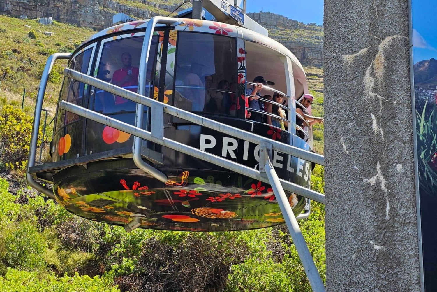 Cape Town: Table MT, Cape Point & Penguins Instagram Tour