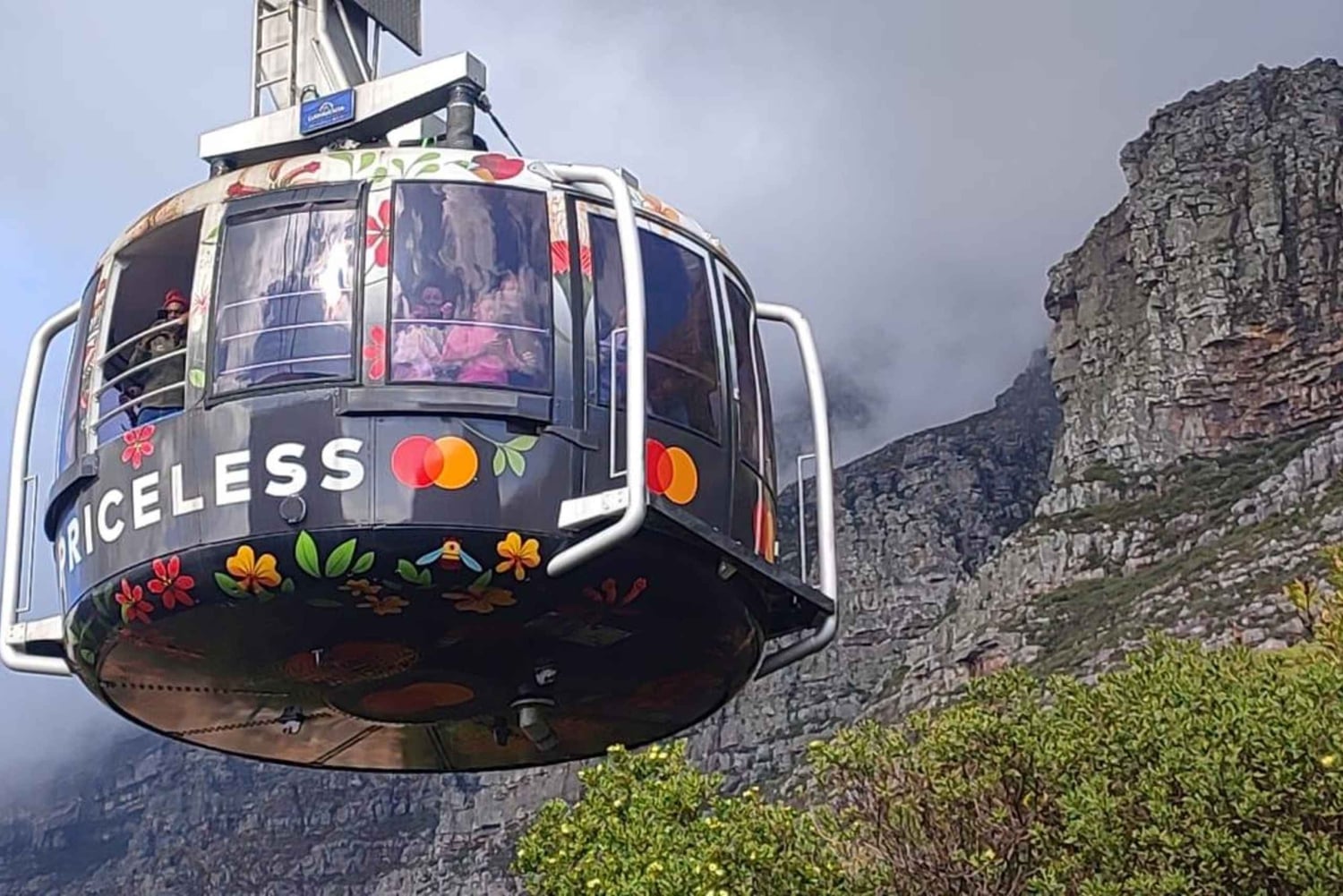 Cape Town: Table MT, Cape Point & Penguins Instagram Tour