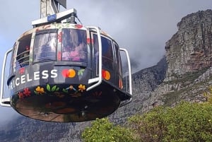 Cape Town: Table MT, Cape Point & Penguins Instagram Tour
