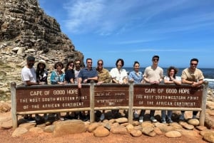 Cape Town: Table MT, Cape Point & Penguins Instagram Tour