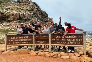 Cape Town: Table MT, Cape Point & Penguins Instagram Tour