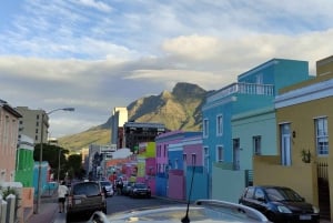 Cape Town: Table MT, Cape Point & Penguins Instagram Tour