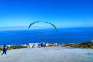 Cape Town: Tandem-paragliding-tur