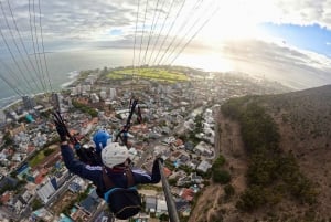 Cape Town: Tandem Paragliding with views of Table Mountain
