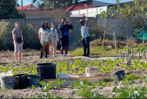 Cape Town: Local street food tour