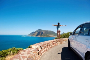 Cape Town: The Cape Point Instagram Small Group Tour